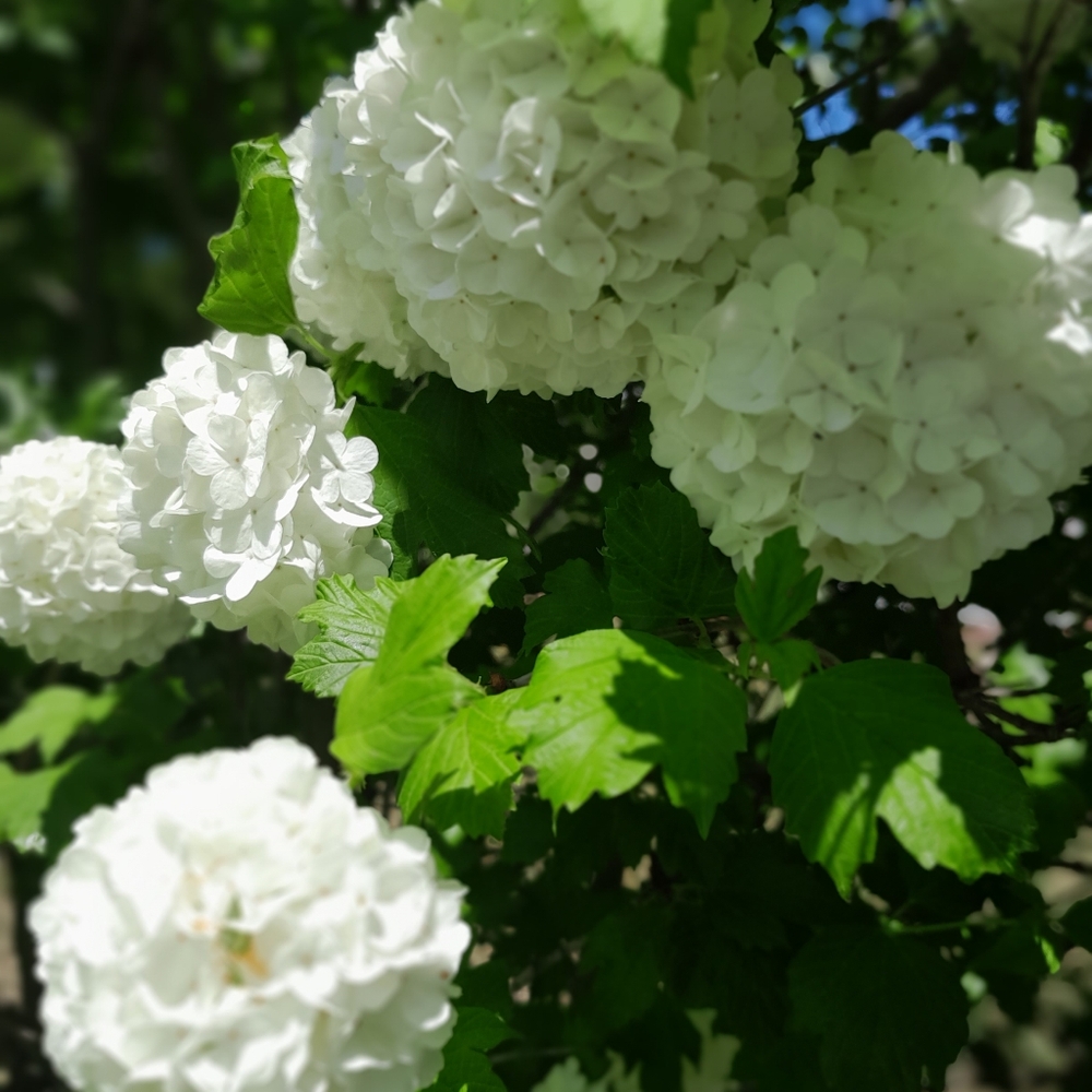 Meet your Posher, Lee